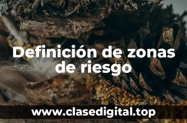 Definición de zonas de riesgo