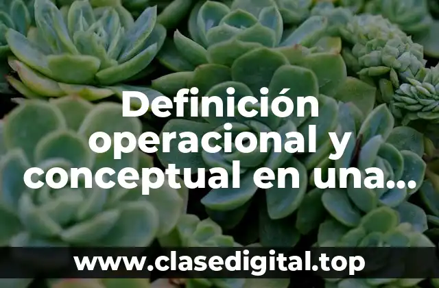 Definición operacional y conceptual en una investigación
