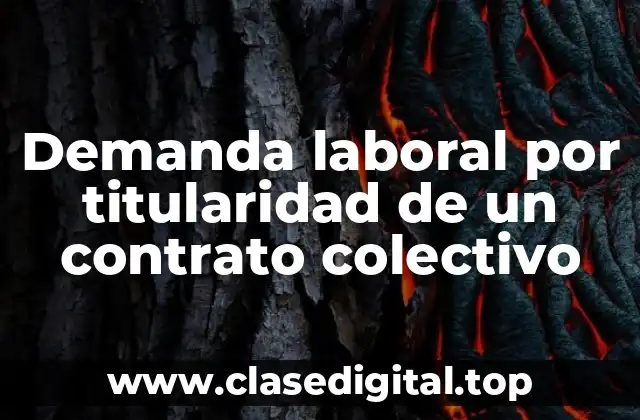 Demanda laboral por titularidad de un contrato colectivo