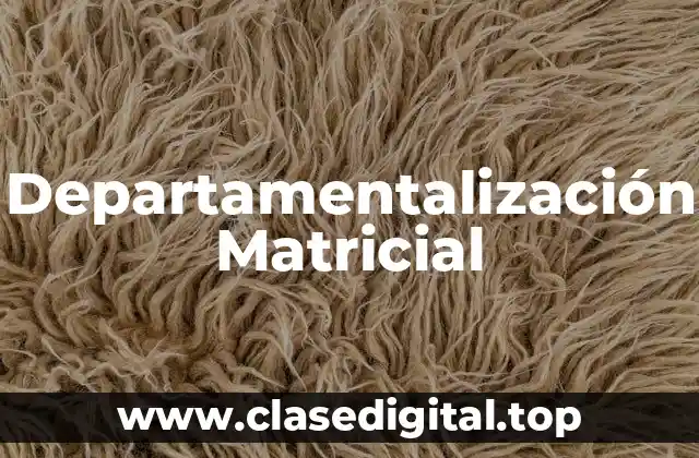 Departamentalización Matricial