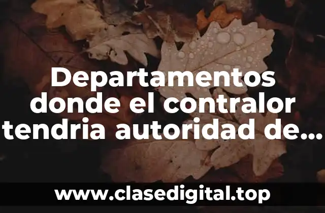 Departamentos donde el contralor tendria autoridad de staff