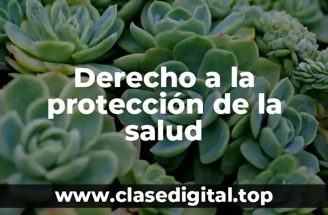 Derecho a la protección de la salud