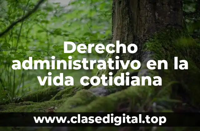 Derecho administrativo en la vida cotidiana
