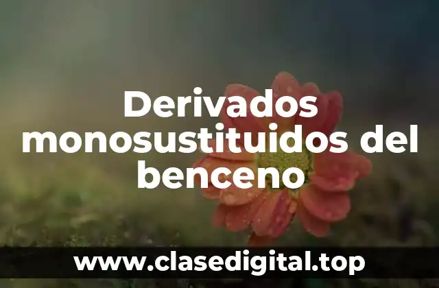 Derivados monosustituidos del benceno