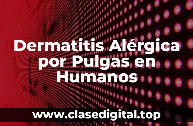 Dermatitis Alérgica por Pulgas en Humanos