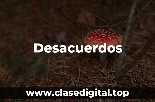 Desacuerdos