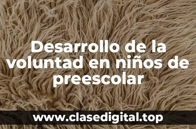 Ejemplos de desarrollo de la voluntad en niños de preescolar