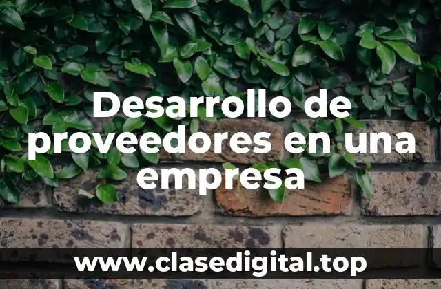 Desarrollo de proveedores en una empresa