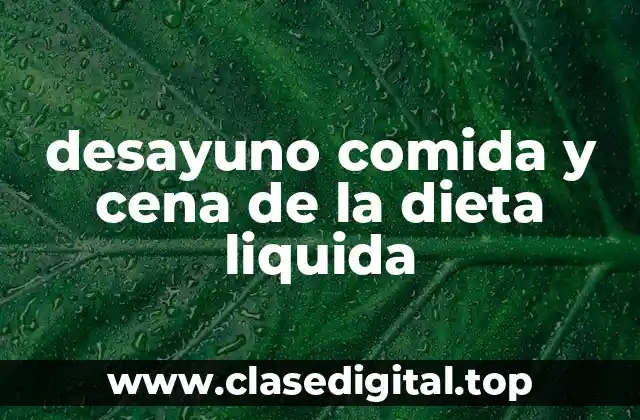 desayuno comida y cena de la dieta liquida