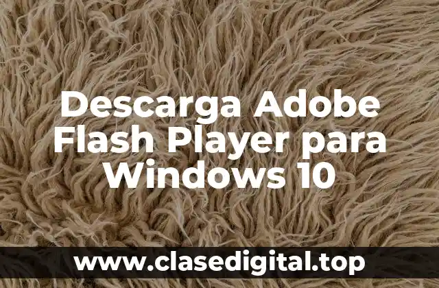 Descarga Adobe Flash Player para Windows 10