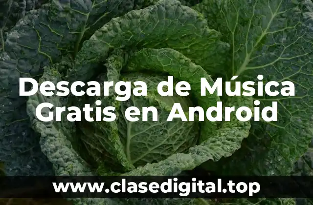 Descarga de Música Gratis en Android