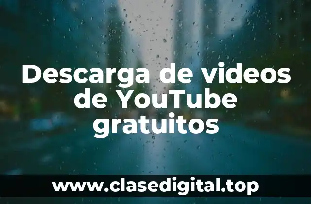¿Por qué descargar videos de YouTube es importante?
