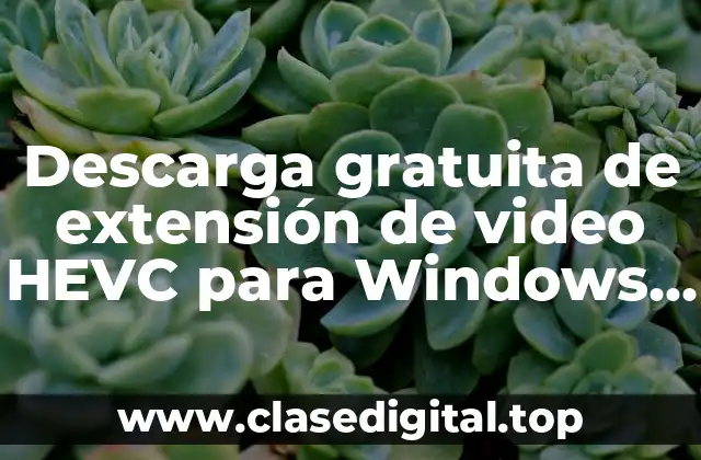 ¿Qué es el formato de video HEVC y por qué es importante?