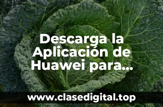 Descarga la Aplicación de Huawei para Descargar Play Store