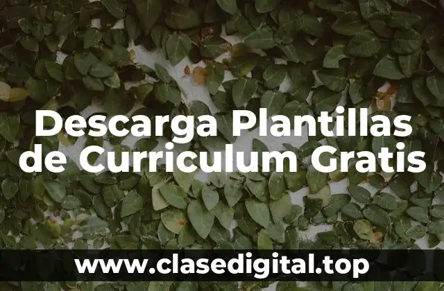 Descarga Plantillas de Curriculum Gratis
