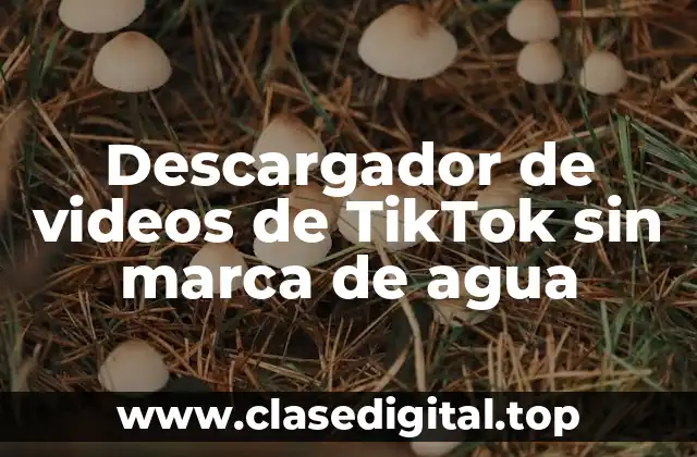 Descargador de videos de TikTok sin marca de agua