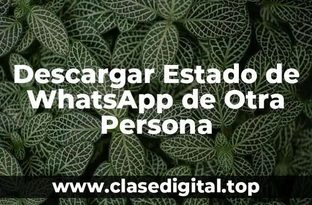Descargar Estado de WhatsApp de Otra Persona