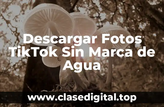 ¿Por qué Quieres Descargar Fotos TikTok Sin Marca de Agua?