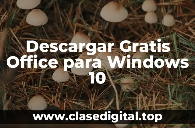 Descargar Gratis Office para Windows 10