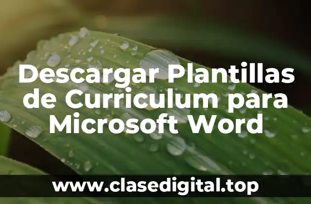 ¿Qué es una Plantilla de Curriculum para Microsoft Word?
