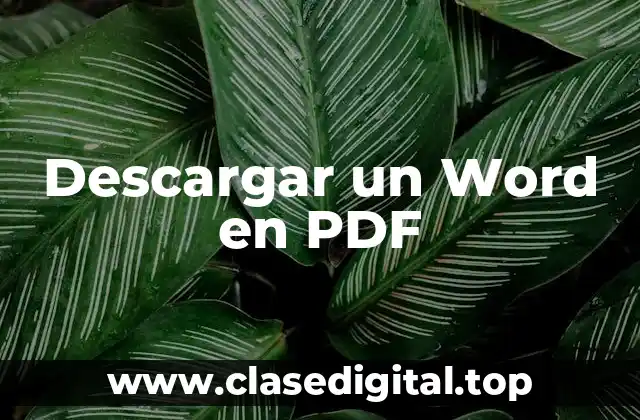 ¿Por qué es importante descargar un archivo de Word en PDF?