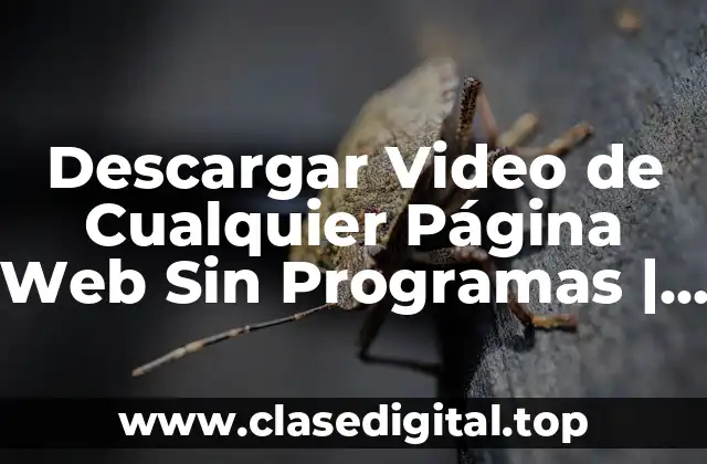 Descargar Video de Cualquier Página Web Sin Programas | Guía Completa