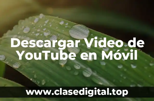 Descargar Video de YouTube en Móvil