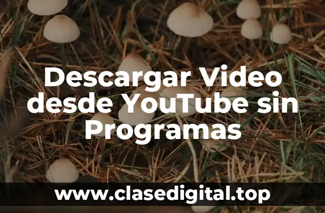 Descargar Video desde YouTube sin Programas