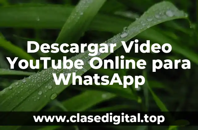 Descargar Video YouTube Online para WhatsApp