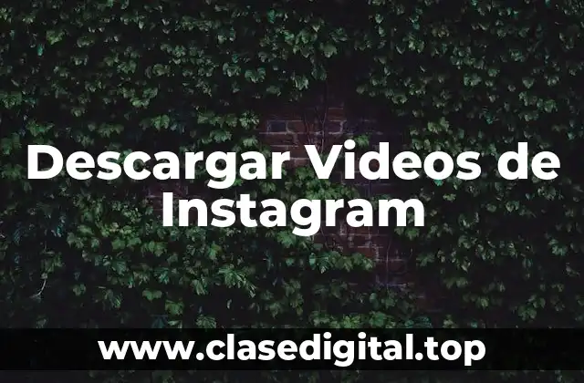 ¿Por qué Necesitamos una Extensión para Descargar Videos de Instagram?