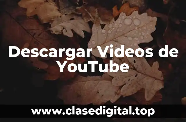 ¿Por qué Descargar Videos de YouTube es Importante?
