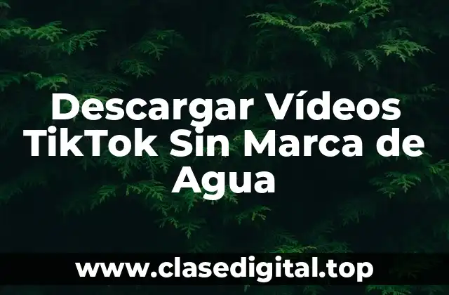 Descargar Vídeos TikTok Sin Marca de Agua