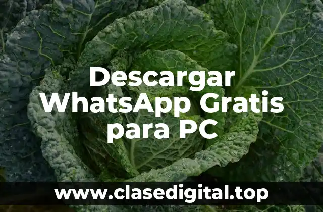 Descargar WhatsApp Gratis para PC