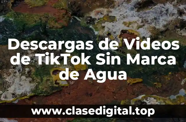 Descargas de Videos de TikTok Sin Marca de Agua