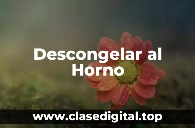 Descongelar al Horno