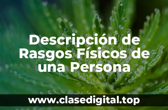 Descripción de Rasgos Físicos de una Persona