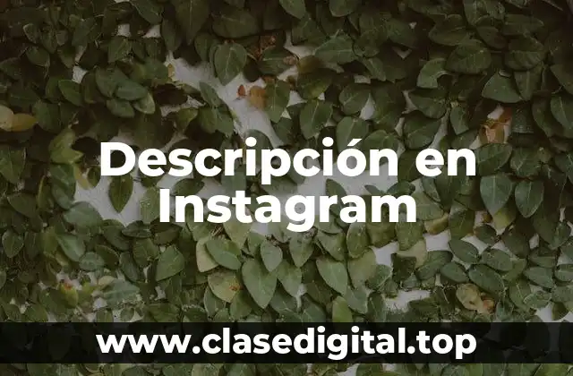 Descripción en Instagram