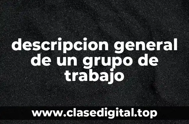 descripcion general de un grupo de trabajo