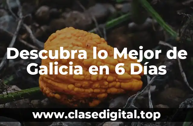 Día 1: Explore la Ciudad de Santiago de Compostela