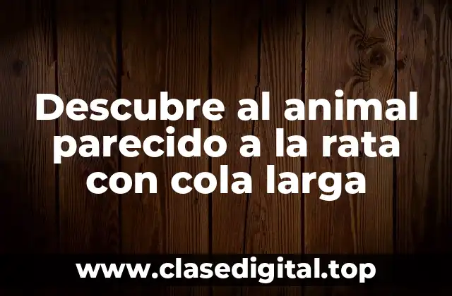 Descripción física del animal parecido a la rata con cola larga