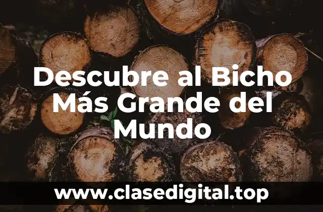 ¿Cuál es el Bicho Más Grande del Mundo en términos de Longitud?