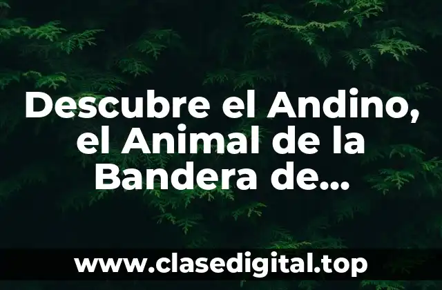 Descubre el Andino, el Animal de la Bandera de Colombia