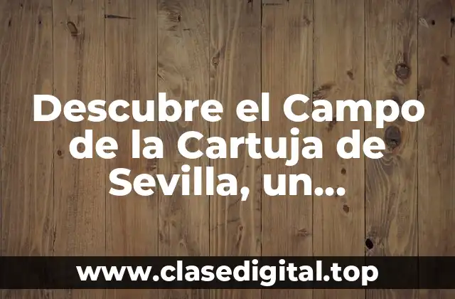 Descubre el Campo de la Cartuja de Sevilla, un Patrimonio Histórico Único