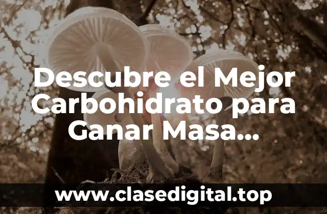 Descubre el Mejor Carbohidrato para Ganar Masa Muscular