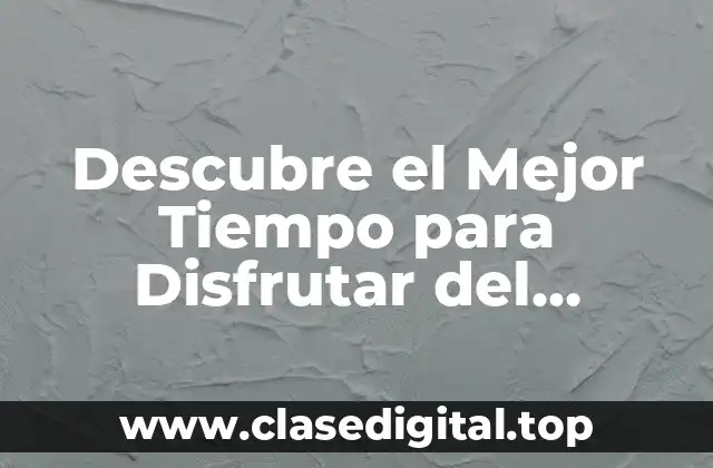 Descubre el Mejor Tiempo para Disfrutar del Domingo en Córdoba