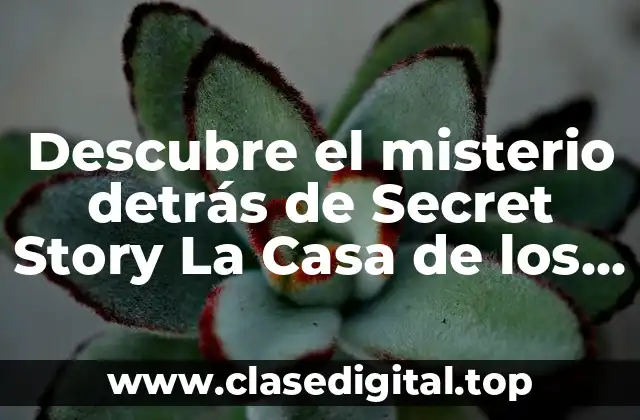 Descubre el misterio detrás de Secret Story La Casa de los Secretos