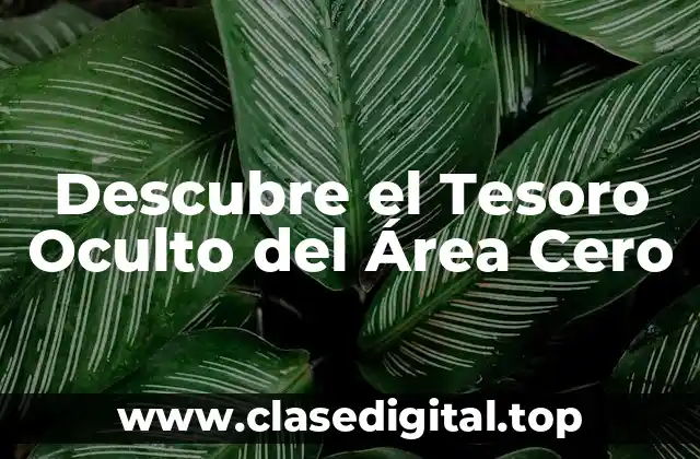 Descubre el Tesoro Oculto del Área Cero