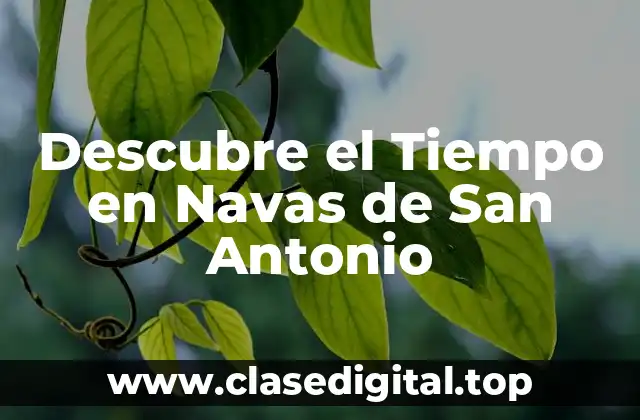 Descubre el Tiempo en Navas de San Antonio