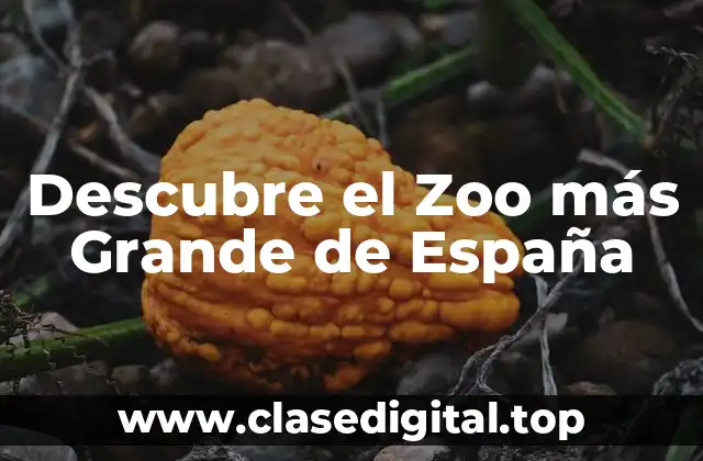 Orígenes y Historia del Zoo más Grande de España