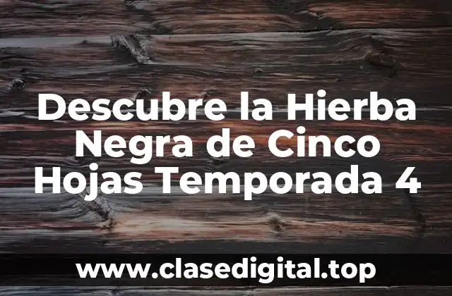 Descubre la Hierba Negra de Cinco Hojas Temporada 4